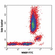 FITC anti-human CD31 Antibody (303103)
