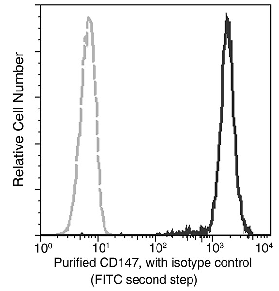 Recombinant CD147/EMMPRIN/Basigin Monoclonal Antibody (AN300025P)
