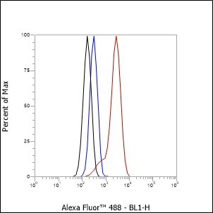 Recombinant ASGR1 Monoclonal Antibody (AN301439L)