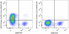 APC anti-human ZAP70 Phospho (Tyr493) Antibody (396005)