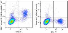 Brilliant Violet 605™ anti-human CD337 (NKp30) Antibody (325233)