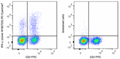 PE/Cyanine7 anti-mouse IFN-γ Antibody (163507)