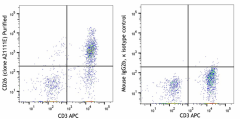 Purified anti-human CD26 Antibody (315505)