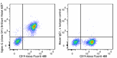 Brilliant Violet 605™ anti-mouse Siglec-G Antibody (163317)