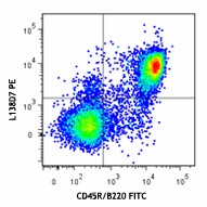 PE anti-mouse CD185 (CXCR5) Antibody (145503)