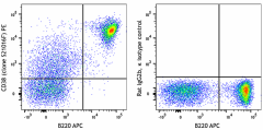 PE anti-mouse CD38 Antibody (165609)