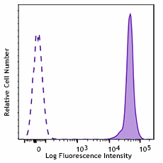 Purified anti-mouse CD45 Recombinant Antibody (157602)