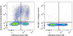 PE anti-human/mouse Granzyme B Recombinant Antibody (396405)