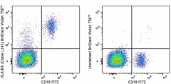 Brilliant Violet 750™ anti-human HLA-DR Antibody (307671)