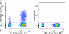 Brilliant Violet 605™ anti-human IFN-γ Antibody (383409)