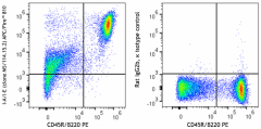 APC/Fire™ 810 anti-mouse I-A/I-E Antibody (107677)