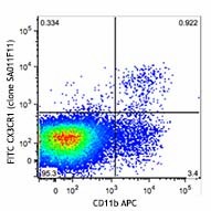 FITC anti-mouse CX3CR1 Antibody (149019)