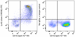 FITC anti-mouse Ly-6G Antibody (164507)