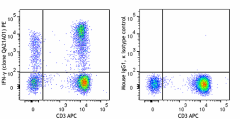 PE anti-human IFN-γ Recombinant Antibody (309061)