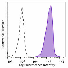 Purified anti-human TSPAN8 Antibody (378902)