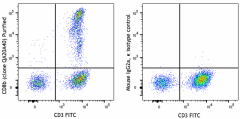 Purified anti-human CD8b Recombinant Antibody (376702)
