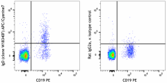 APC/Cyanine7 anti-human IgD Antibody (307827)