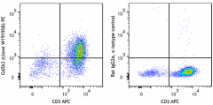 PE anti-GATA3 Antibody (386903)