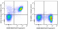 FITC anti-mouse CD16/32 Antibody (156613)