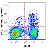 Brilliant Violet 785™ anti-mouse IFN-γ Antibody (505837)