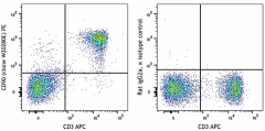 PE anti-mouse CD90 (Thy1) Antibody (166407)