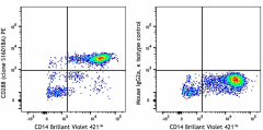 PE anti-human CD288 (TLR8) Antibody (395503)