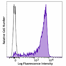 Alexa Fluor® 647 anti-rat CD90 Antibody (206107)