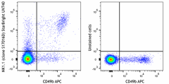 StarBright UltraViolet 740 anti-mouse NK-1.1 Antibody (156551)