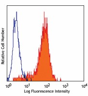 Purified anti-human CD325 (N-Cadherin) Antibody (350802)