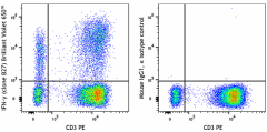 Brilliant Violet 650™ anti-human IFN-γ Antibody (506545)