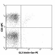 Biotin anti-mouse TCR γ/δ Antibody (118103)