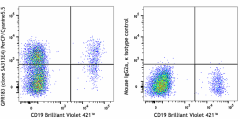 PerCP/Cyanine5.5 anti-human GPR183 (EBI2) Antibody (368913)