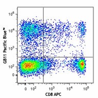 Pacific Blue™ anti-human/mouse Granzyme B Antibody (515407)
