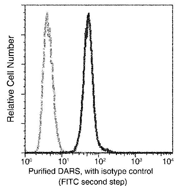 DARS Monoclonal Antibody (AN200237P)