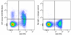 Biotin anti-mouse CD7 Antibody (167106)