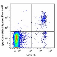 Alexa Fluor® 488 anti-human IgM Antibody (314533)