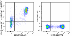 Spark PLUS B574™ anti-mouse I-A/I-E Antibody (107687)