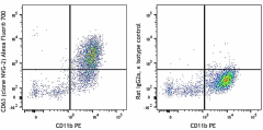 Alexa Fluor® 700 anti-mouse CD63 Antibody (143923)
