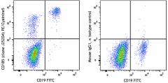 PE/Cyanine5 anti-human CD185 (CXCR5) Antibody (356951)