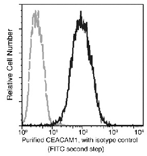 Recombinant CEACAM1/CD66a Monoclonal Antibody (AN300208P)