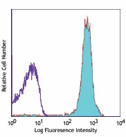 APC anti-mouse CD90.2 (Thy1.2) Antibody (105311)