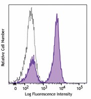 Purified anti-mouse CD19 Antibody (152402)