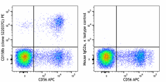 PE anti-human CD158b (KIR2DL2/KIR2DL3) Antibody (317509)