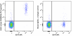 PE/Cyanine7 anti-human CD24 Antibody (382605)