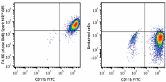 Spark NIR™ 685 anti-mouse F4/80 Antibody (123167)