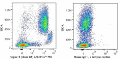 APC/Fire™ 750 anti-human Siglec-9 Antibody (351513)