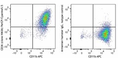 PerCP/Cyanine5.5 anti-mouse CD36 Antibody (102619)