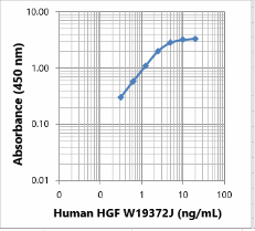 Purified anti-human HGF Antibody (613052)