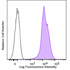 Purified anti-human CD53 Recombinant Antibody (325702)