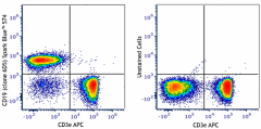 Spark Blue™ 574 anti-mouse CD19 Antibody (115581)